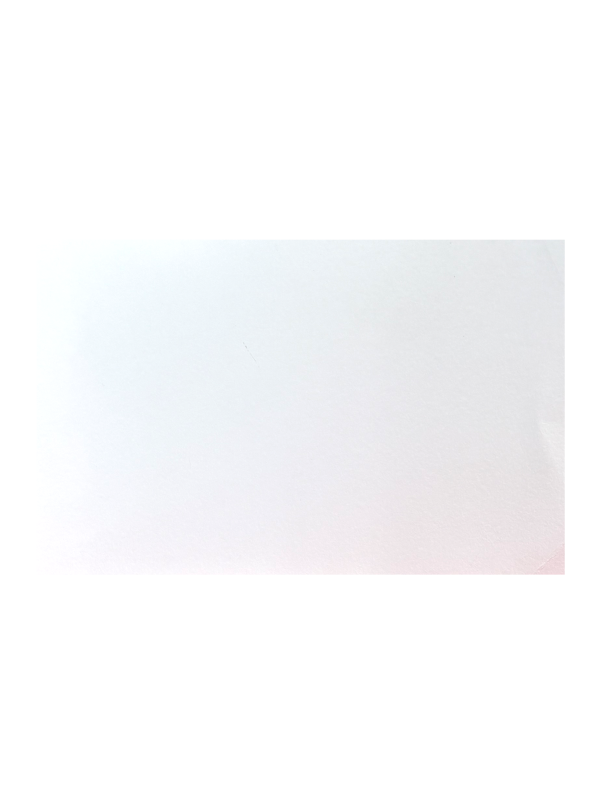 Bristol Blanco 180 Grs 70x100 (x125) SUZANO